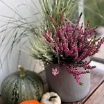 Saules Tako Apartamentai 公寓 *