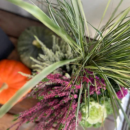 Saules Tako Apartamentai * Друскининкай