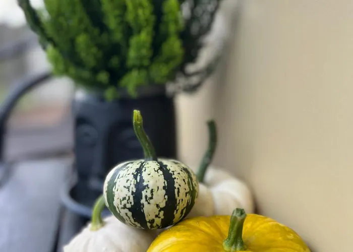 Apartment Saules Tako Apartamentai