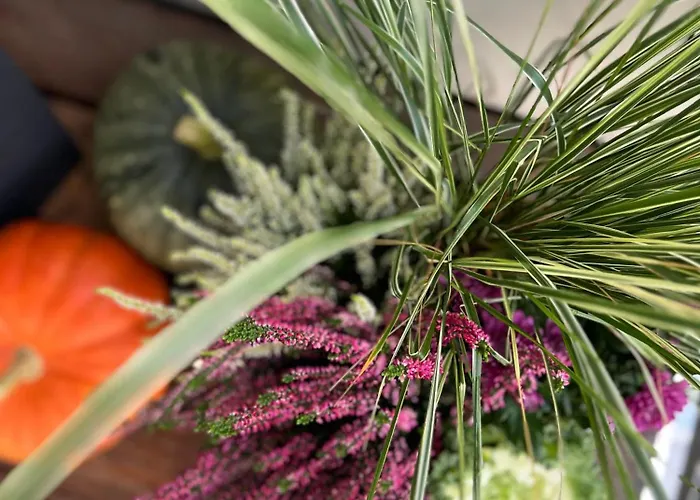 Saules Tako Apartamentai * Druskininkai