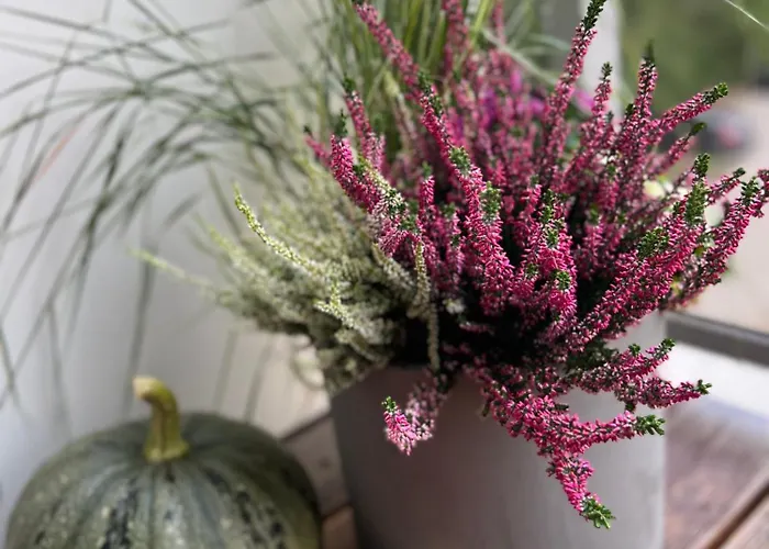 Saules Tako Apartamentai Apartment *